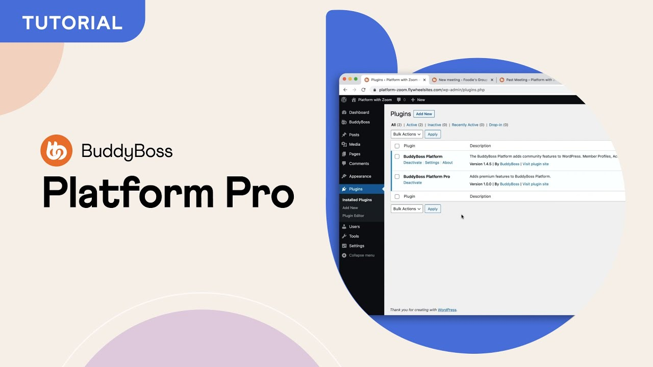BuddyBoss-Platform.webp